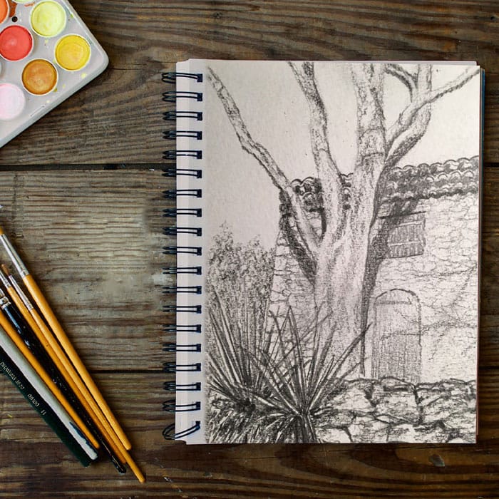 Atelier / workshop : Dessin & Aquarelle