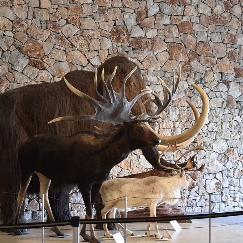 Musée de la Préhistoire de Quinson