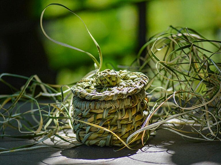 atelier-vannerie-sauvage-Lou-Calen