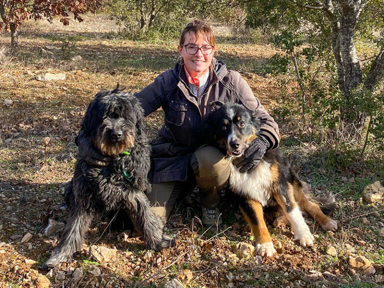 recolte-de-la-truffe